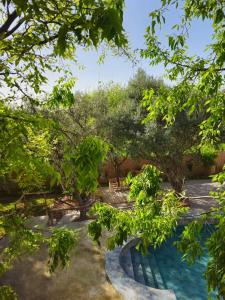 a view of a swimming pool through the trees at Dar Zaytoun Bhalil in Bhalil