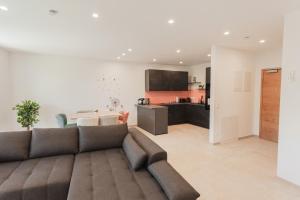 una sala de estar con un sofá y una cocina en Genuss Apartment Basic, en Purbach am Neusiedlersee