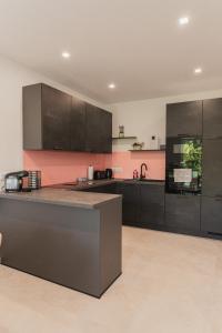 una cocina grande con armarios negros y paredes rosas en Genuss Apartment Basic, en Purbach am Neusiedlersee 9 fotos más