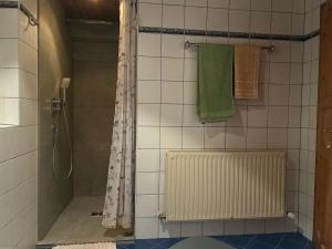 a bathroom with a shower and a radiator and towels at Sissy Appartment in Kössen