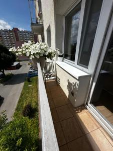 a balcony with a vase of flowers on a house at Apartament KAJA in Malbork