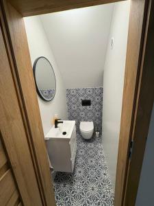 a bathroom with a toilet and a sink and a mirror at Lasóweczka in Lasowka +27 photos