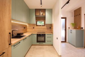 a kitchen with green cabinets and a sink at Villa President 4 in Krimovice