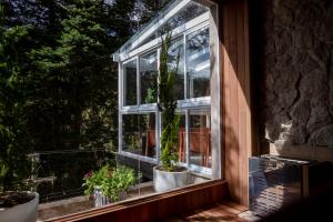 a window with two potted plants in it at Champet Boutique Hotel in Campos do Jordão