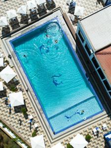 an overhead view of a swimming pool with three dolphins at Mira Palace Hotel in Al Hoceïma