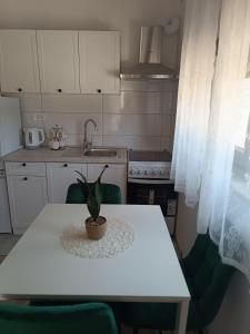 a kitchen with a table with a potted plant on it at Apartment Hidden Garden in Pula