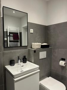 a bathroom with a sink and a mirror and a toilet at Haus Blumenglück 2.0 in Herscheid +46 photos