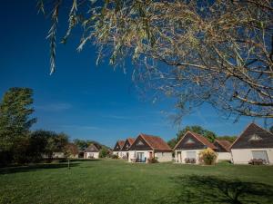 a row of houses on a green lawn at Lac Bleu nr 19 in Lacapelle-Marival