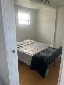 ein Schlafzimmer mit einem Bett und einem Fenster in der Unterkunft The Awanui Hotel in Awanui