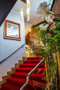 a staircase with red carpet and a plant at Hotel Cesare Augustus in Lido di Jesolo