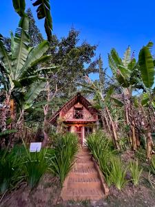 a house in the jungle with a pathway leading to it at Chalé Suíco Nupcial II - Chalés Belo Monte - Pacoti in Pacoti