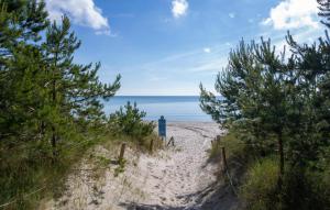 a path to the beach with trees on it at Diamond in Binz +34 photos
