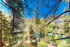 a view of a forest with trees and a lake at Rocky Pines in Twin Peaks