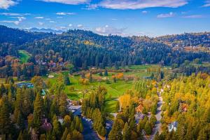 an aerial view of a golf course in the forest at Serene Cabin in Lake Arrowhead
