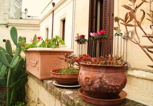 Zahrada ubytování B&B Demetra Appartamenti