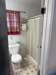 a bathroom with a toilet and a shower at El Portal Motel in Beatty +21 photos