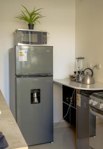 a kitchen with a stainless steel refrigerator with a plant on top at Don Checho's House in Ica