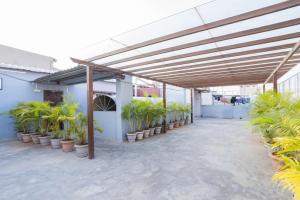 a group of potted plants in pots in a building at Olive Atnest PG in Hyderabad