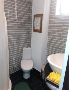 a bathroom with a toilet and a sink at Samaya in Agigea