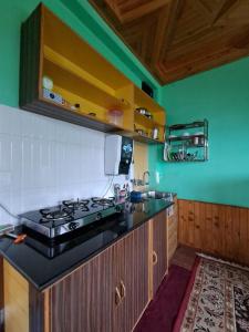 a kitchen with a stove and a green wall at Shantiloka - Private 1BHK Homestay in Kulu