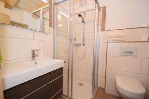a bathroom with a shower and a sink and a toilet at Hotel Biobauernhof Hinteraltensberg Wildschönau in Auffach +29 photos