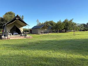 a tent in the middle of a grass field at Kameeldoring Camping & Tented Chalets in Kakamas