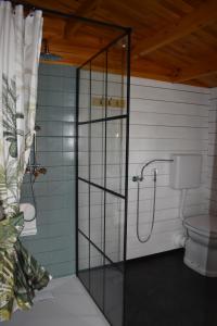 a bathroom with a shower and a toilet at Artemilland B&B in Burzanella