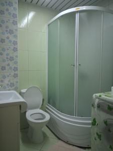 a bathroom with a shower and a toilet and a sink at STRUNA in Ohrid