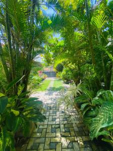 a path through a garden with palm trees and plants at Greenbliss Hiriketiya in Dickwella