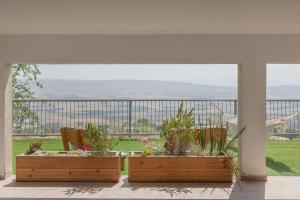 two planters with plants in them sitting on a patio at לגעת בלב in Yavneʼel