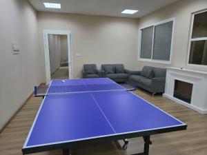a ping pong table in a living room with a couch at Hatta Orchard in Hatta +31 photos