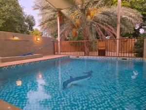 a swimming pool with a shark in the water at Hatta Orchard in Hatta