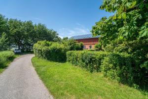 a road leading to a house with hedges at Fewo Hanna Tedsen in Pellworm