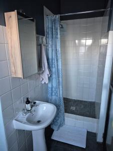 a bathroom with a sink and a shower at Silver’s Rest Beach House in Clareport +21 photos
