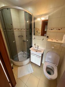 a bathroom with a toilet and a shower and a sink at Dworek na Polance in Wrzosowo +37 photos