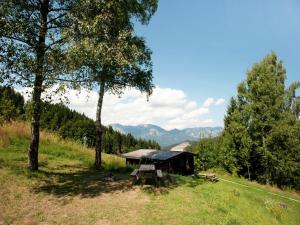 a cabin in the middle of a field with trees at Chalet in the Wilder Kaiser ski area in Tyrol in Wörgl