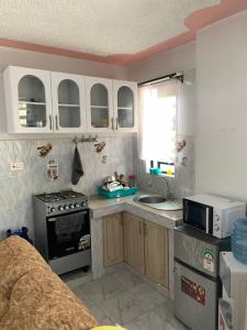 a kitchen with white cabinets and a stove and a microwave at Nanyuki Gratia Pad in Nanyuki