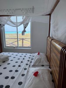 a bedroom with a bed with a view of the ocean at Nyota Apartment in Nungwi