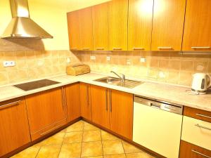 a kitchen with wooden cabinets and a sink at Penzion Arosa in Růžová +34 photos