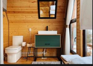 a bathroom with a sink and a toilet in a room at ALTO Cabins in Alamedin