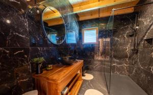 a bathroom with a shower and a sink and a mirror at RANČ Dida in Ženavlje +37 photos