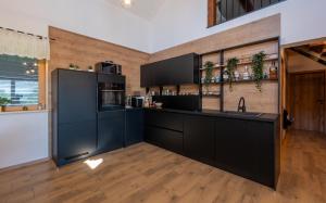 a kitchen with black cabinets and a counter at RANČ Dida in Ženavlje