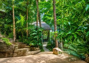 a house in the middle of a forest with trees at Belihuloya Escape and Cafe in Belihuloya