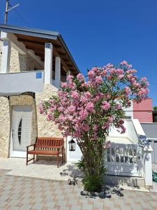 a bench and a flowering tree in front of a building at Skalinada in Vir