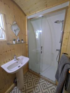 a bathroom with a shower and a sink at West Point Woods in Barrow in Furness