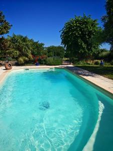 a large swimming pool with blue water in a yard at Hôtel des Vignes - Juliénas in Juliénas