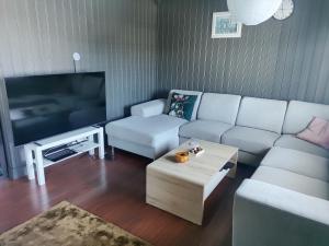 a living room with a couch and a tv at Et soverom, delt bad in Fredrikstad