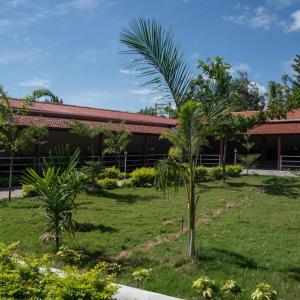 a palm tree in front of a building at Rock Retreat in Kanakapura