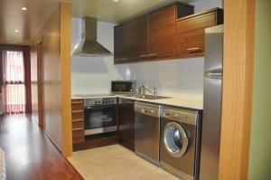a kitchen with a dishwasher and a washer in it at Apartaments Turístics Puigcerdà - La Closa in Puigcerdà
