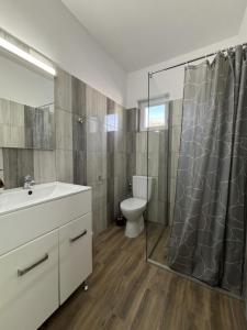 a bathroom with a toilet and a shower and a sink at Vila Diana in Venus